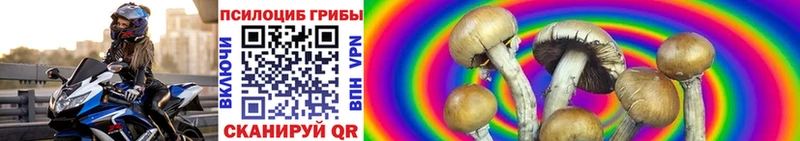 Псилоцибиновые грибы Psilocybine cubensis  Купить где  Советская Гавань 