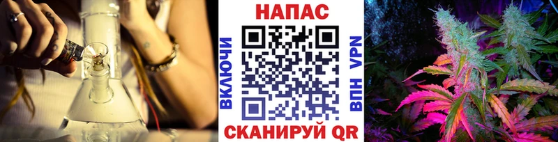 Купить закладки  Советская Гавань  Канабис марихуана 
